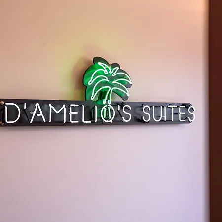 D'amelios 2.0